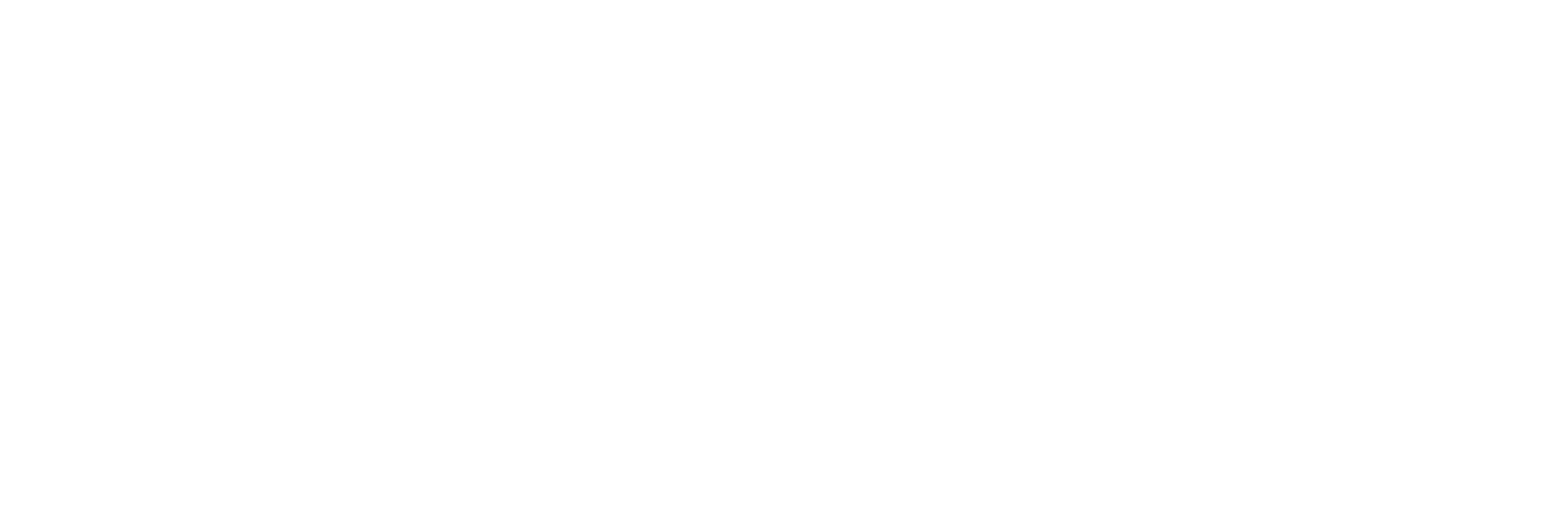 Sejal Al Arabia Co. ltd.